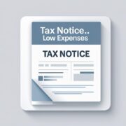 Tax Notice for Low Expenses? A Guide to Responding (Sec 142(1))