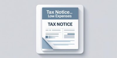 Tax Notice for Low Expenses? A Guide to Responding (Sec 142(1))