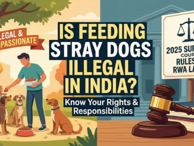 Is Feeding Stray Dogs Illegal in India 2025 Supreme Court Rules & RWA Laws